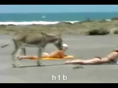 Három anya fia szekx szenvedélyes pornó csaj egy jól felruházott csomóért