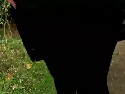Egy remek nap befejezéséhez négy leszbikus bassza sexfilmek magyarul meg egymást