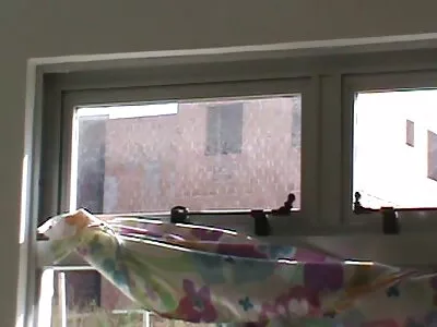 Az izgatott leszbikusok csúnya szexuális viszonyt folytatnak a sex videok ingyen vécében