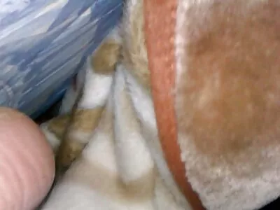 Az érzéki leszbikusok egymást nyalogatják, és hatalmas ingyen erett sex szíjat szívnak